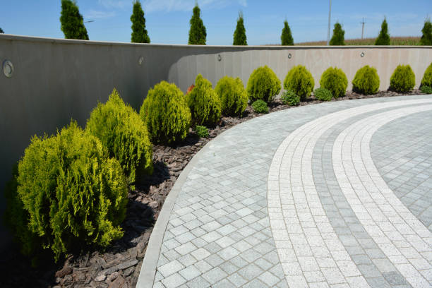  Machesney Park, IL Driveway Pavers Pros